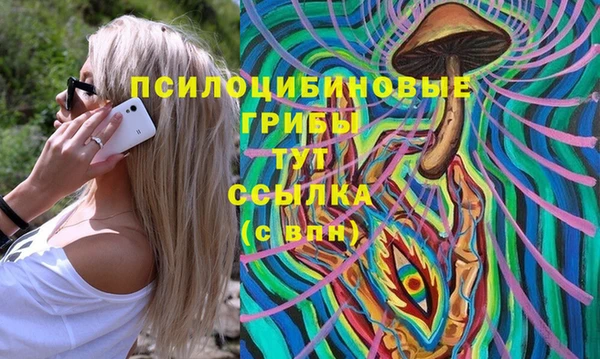 бутират Алексин