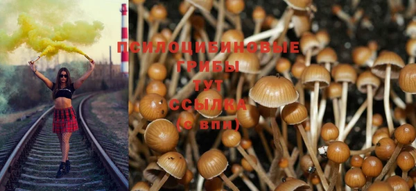 МДПВ Алзамай
