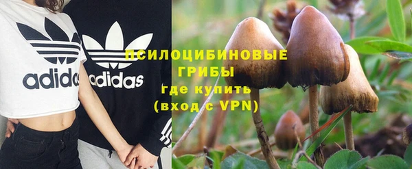 МДПВ Алзамай